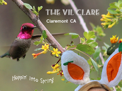 The Vil Clare eNews - Click to view latest edition