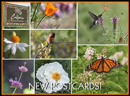 Postcards at California Botanic Garden by Mindiwho Designs